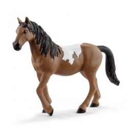 72138SchleichPintoMare