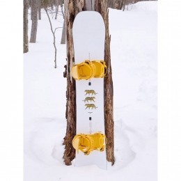 BurtonProcess