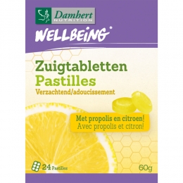 GratisVerzendingDamhertWellbeingZuigtabletten60gr
