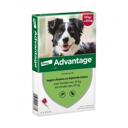 AdvantageAntiVlooiendruppels250Hond10-25kg4pipetten