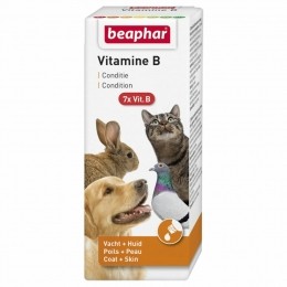 BeapharVitamineB50ml