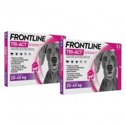 2xFrontlineTri-ActAntiVlooienenTekenDruppelsL3pipetten