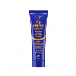 DrPawpawLipmaskerOvernight29ml