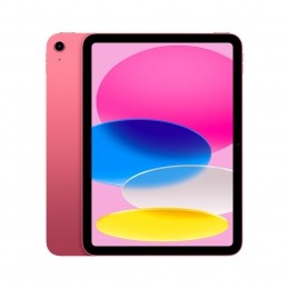 AppleiPad1092024256GBroze
