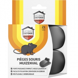 HomeDefenseMuizenvalKunststof2stuks