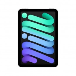 AppleiPadmini256GBWiFigrijs