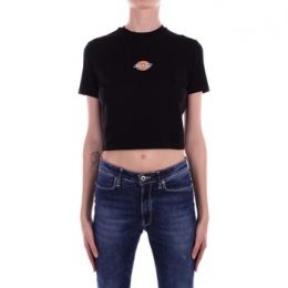 T-shirtKorteMouwDickiesDK0A4XPO