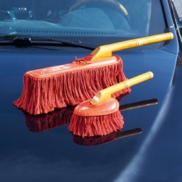 Professionelecarduster