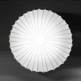 AxoLightAxolightMusewandlampinwit