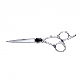 E-KwipPLUSPrimusKnipschaar65inch