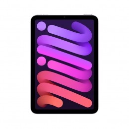 AppleiPadmini256GBWiFipaars
