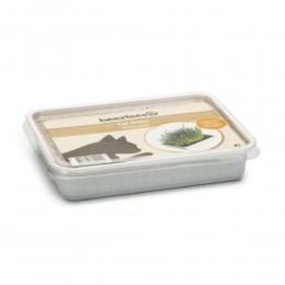 BeezteesKattengrasinPlasticBox130gr