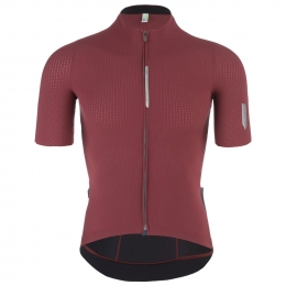 fietsshirtmetkortemouwenPinstripePro