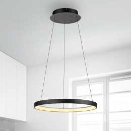 PaulNeuhausLEDhanglampHoopzwart57cmdimbaar