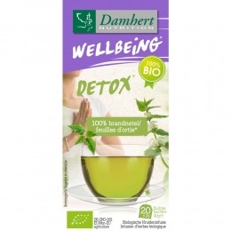 DamhertWellbeingTheeBrandnetel20stuks