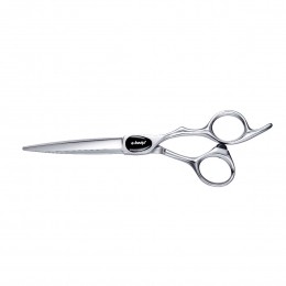 E-KwipPLUSPrimusKnipschaar55inch