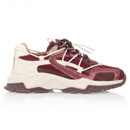 DWRSLabelDWRSLabel-ISOLABordeauxOffWhite-Maat41