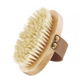 GLOVTheDrybodybrush