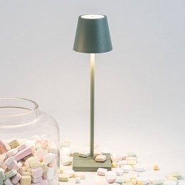 ZafferanoPoldinaoplaadbaremicrolampIP65salie