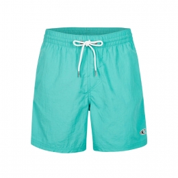 OneillVert16Swimshorts