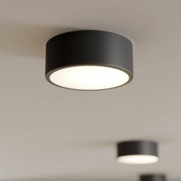 TEMARLIGHTINGPlafondlampCleo20cmIP20zwartmetaalE27