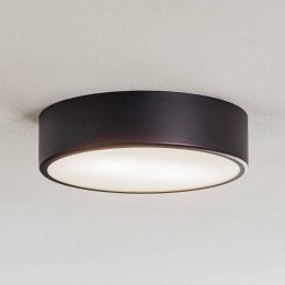TEMARLIGHTINGPlafondlampCleo30cmIP20zwartmetaalE27