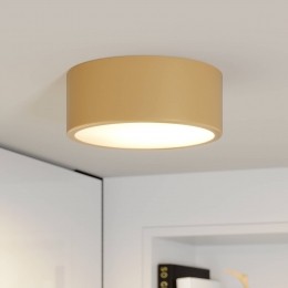 TEMARLIGHTINGCleoplafondlamp20cmIP20goudkleurigmetaalE27