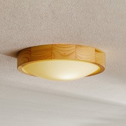 EnvostarZeusplafondlampvanhoutgrenen27cm