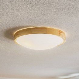 EnvostarZeusplafondlampvanhoutgrenen37cm