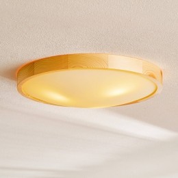 EnvostarZeusplafondlampvanhoutgrenen47cm