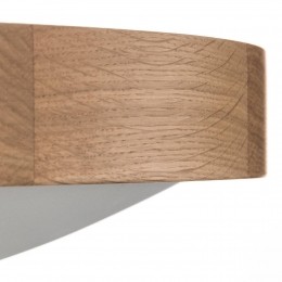 EnvostarZeusplafondlampvanhouteiken47cm