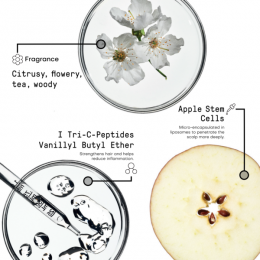 FramesiMorphosisDensifyingShampoo1000ml