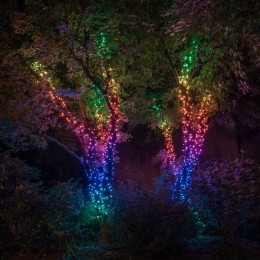 TwinklyRGBlichtkettingenzwart100lampjes8m