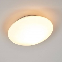 ORIONAlbaplafondlampvanopaalglas25cm