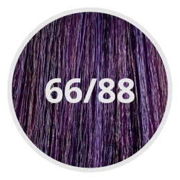 LisapAbsolute36688IntensVioletDonkerblond60ml