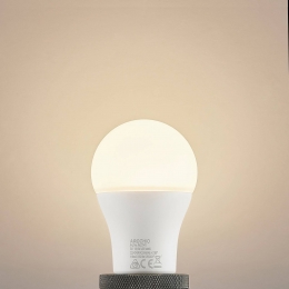 ArcchioLEDlampE27A60135Wopaal3000K1521lm
