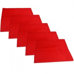 TheOneTheedoek50x70cmRood-5stuks