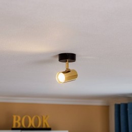 ArgonPlafondspotLundinzwartengoud1-lamp