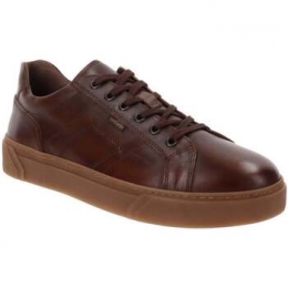 LageSneakersNeroGiardiniI400456U