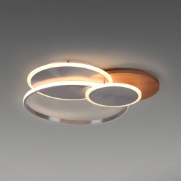 PaulNeuhausLEDplafondlampPalmahoutCCT65cmdimbaar