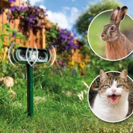 Solar-dierenverjagerDual