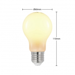 ArcchioLEDlampE278W2700Kdimbaaropaal