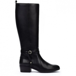 LaarzenPikolinos39168