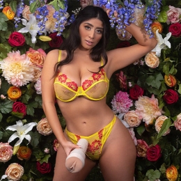 FleshlightVioletMyersWaifuVagina