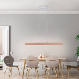 JUSTLIGHTLEDhanglampAmandainhoutoptiekdimbaar