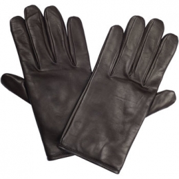 HandschoenenPalZileri-