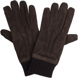 HandschoenenPalZileri-