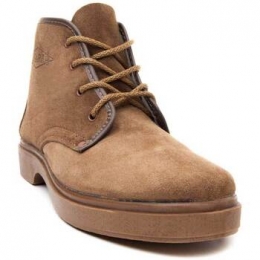 LaarzenNorthome55379