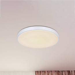 GloboSonnyLEDplafondlampzilverCCT505cm