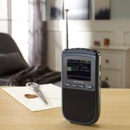 DAB-zakradiometkleurendisplay